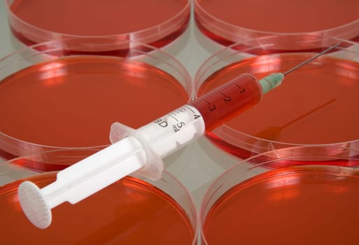 petri dishes in a lab