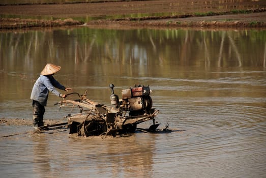 plough machine and farmer in the paddy field