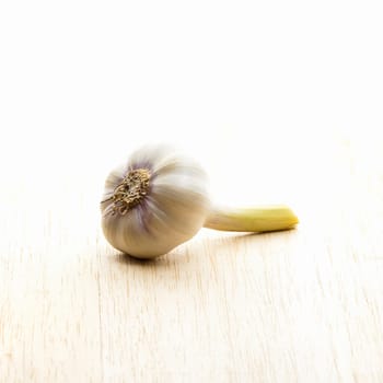 fresh garlic