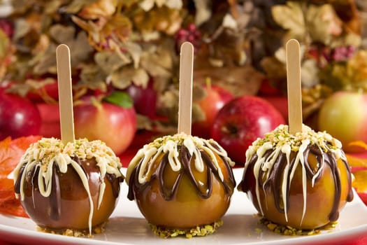 Caramel apples topped with chocolate and nuts