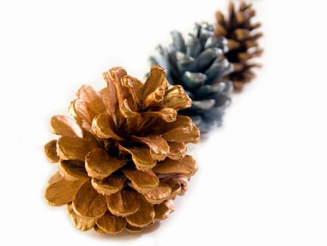 The three Golden Pinecones pick up from Kew Garden London.
