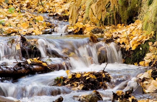 waterfall in fall