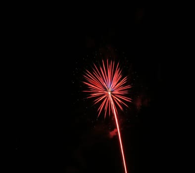 A flowery bloom of color in the dark night sky.