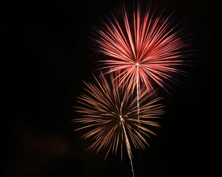 A flowery bloom of color in the dark night sky.