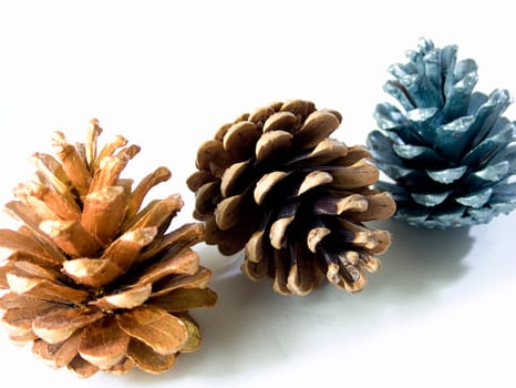 The three Golden Pinecones pick up from Kew Garden London.