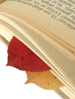 colorful autumnal leaves between book pages with ancient Latin text, as a bookmarks