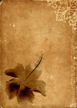 Vintage card with a flower - sepia tone