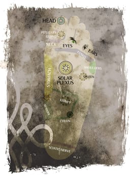 Mixed medial illustration of Reflexology foot massage points