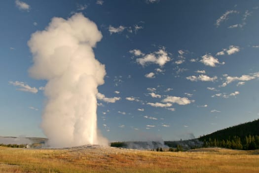 old faithful geyser in yellowstone national park, USA