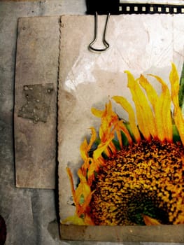 Grunge background with sunflower - vintage sepia paper texture