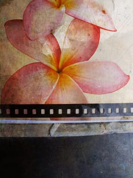 Grunge background with floral elements