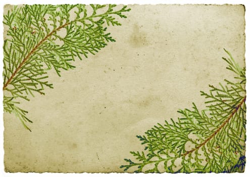 Christmas leaf border - grunge abstract background with leaf