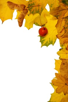 Frame made of colorful autumn leaves on white background.   With place for your text.    More autumn photos in my portfolio.
