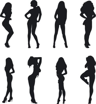 Illustration of sexy woman silhouettes
