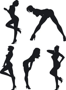 Illustration of sexy woman silhouettes