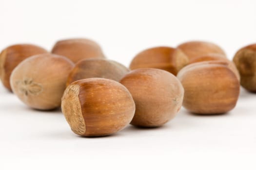 Hazelnuts on white background
