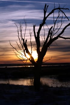 Cheyenne Bottoms in Kansas at sunset.