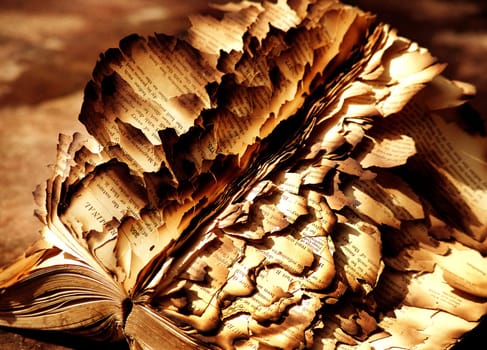 burned book