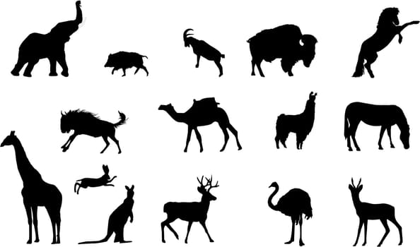 wild animals silhouettes