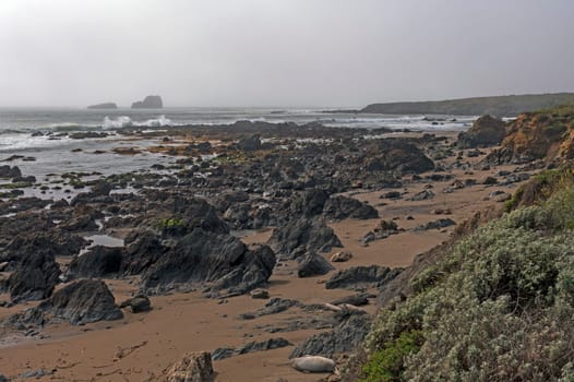 Rocky Elephant Seal Habitat on the Coast Along the Big Sur Highway in California