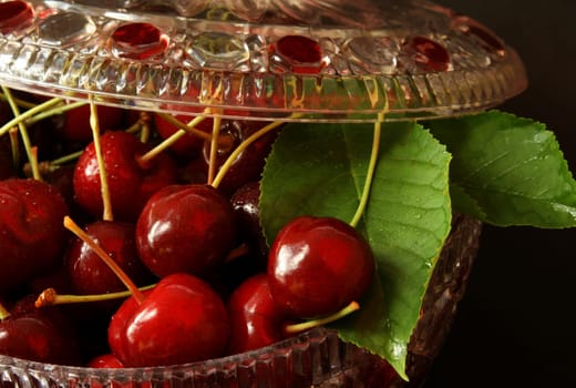 sweet cherry
