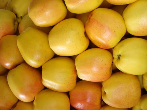 fresh apples - healthy  and organic vegetable food
