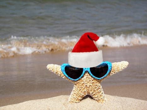 Starfish wearing sunglasses and a santa hat.