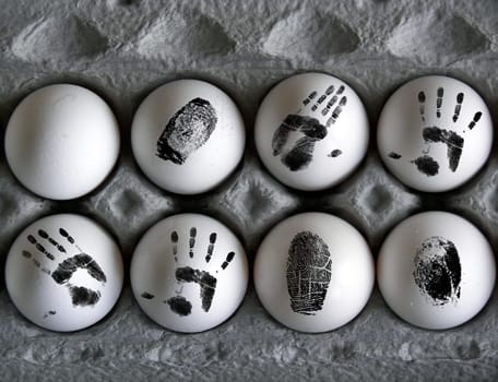 Eight eggs in a gray carton.