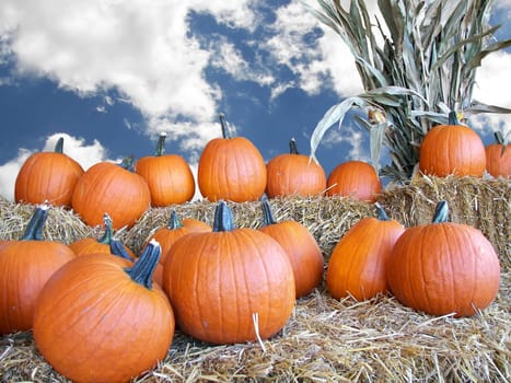 Rural autumn scene of corn stalks, hay bales and bright pumpkins.