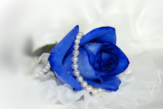 Single blue rose wrapped in pearls on white satin.