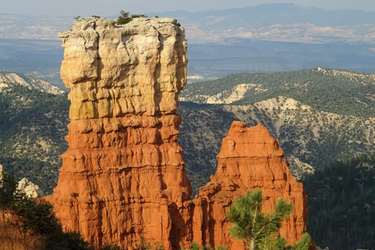 Unique stalagmites and columns in Bryce Canyon