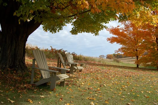 Photograph of Adirondack chairs during Autumn on a Western PA farm.