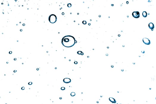 water bubbles isolated on white background