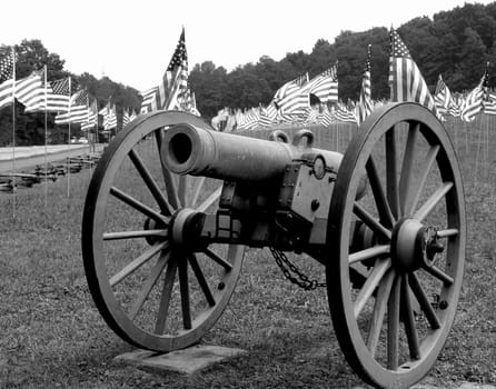Civil War Cannon in Field of Flags
