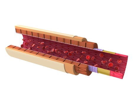 3d rendered close up of a shematic artery