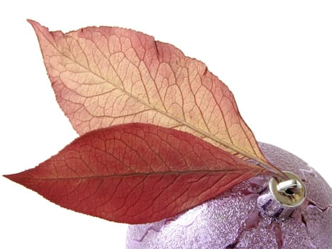 christmas ornaments with bauble and dry autumnal foliage