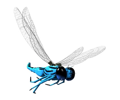 3D blue dragonfly with transparent wings and big eyes