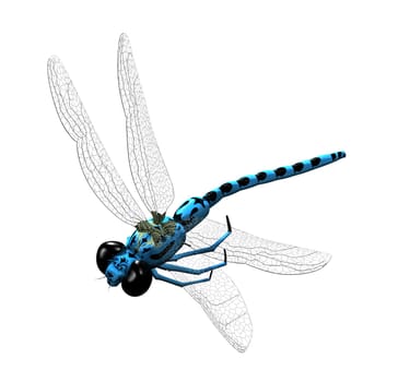 3D blue dragonfly with transparent wings and big eyes