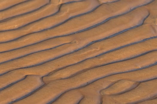 mud patterns3