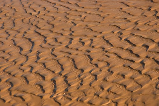 mud patterns 1
