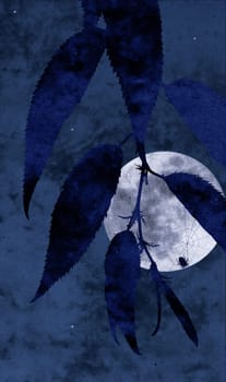 moon, spider, collage, night, dark, spooky, web, moon, full, blue, sombre, scary, weave, star, sky, branch, leaves, summer