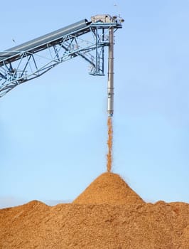Pile of pouring wood chips