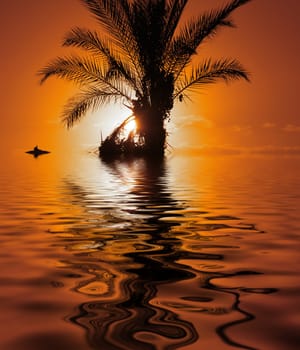 Island at Sunset  with submerged Palmtree and Bird on Driftwood