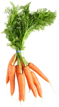 agricultural, background, bunch, carrot, colorful, crunchy, diet, farm, food, fresh, green, harvest, healthy, ingredients, isolated, leaf, orange, organic, roots, tasty, vegetable, vegetarian, vitamin, white, young, bunched, earth, carotin