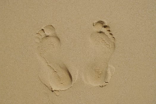 A pair of footprints on a sandy beach