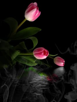 Bouquet of pink tulips over silver water.