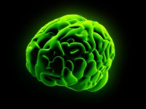 3d rendered anatomy illusration of a green human brain