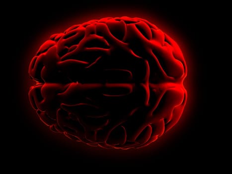 3d rendered anatomy illusration of a red human brain