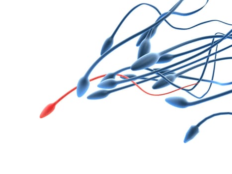 3d rendered anatomy close up of  human  sperms