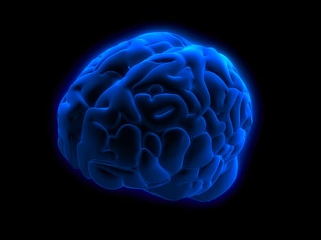 3d rendered anatomy illustration of a blue glowing human brain